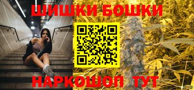 стаф Кингисепп