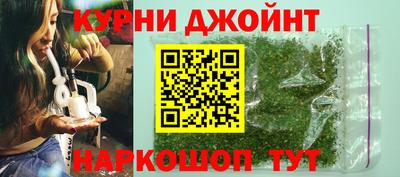 стаф Кингисепп