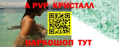 стаф Кингисепп
