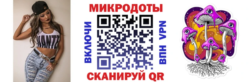 МЕГА   Балтийск  Псилоцибиновые грибы Psilocybine cubensis 