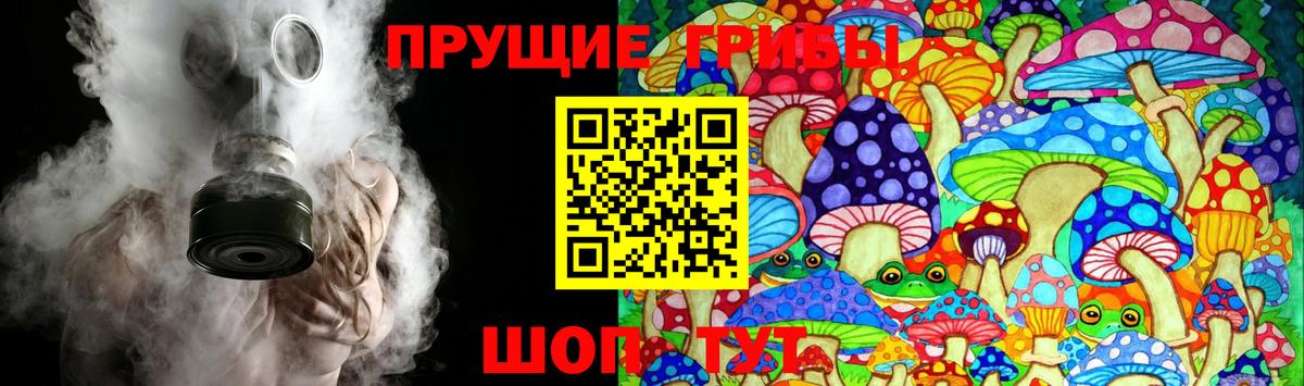 Псилоцибиновые грибы GOLDEN TEACHER Балтийск