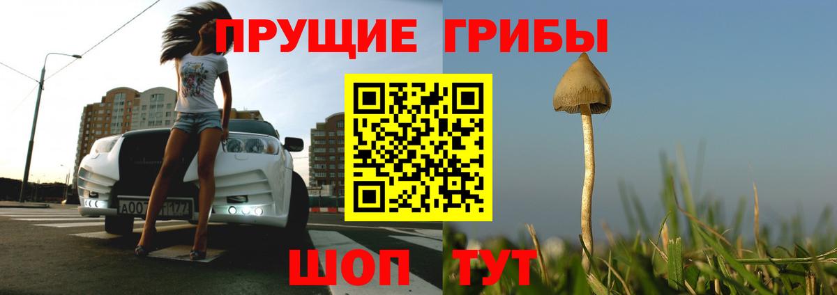 купить наркоту  Галлюциногенные грибы мухоморы  Балтийск  Вход с VPN  Галлюциногенные грибы GOLDEN TEACHER 