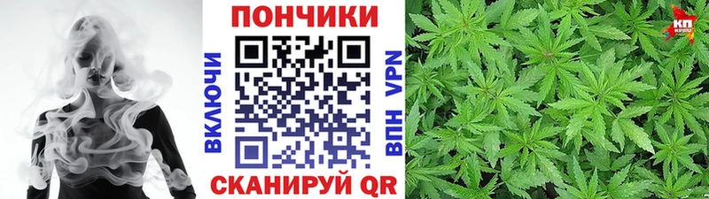МАРИХУАНА семена Балтийск